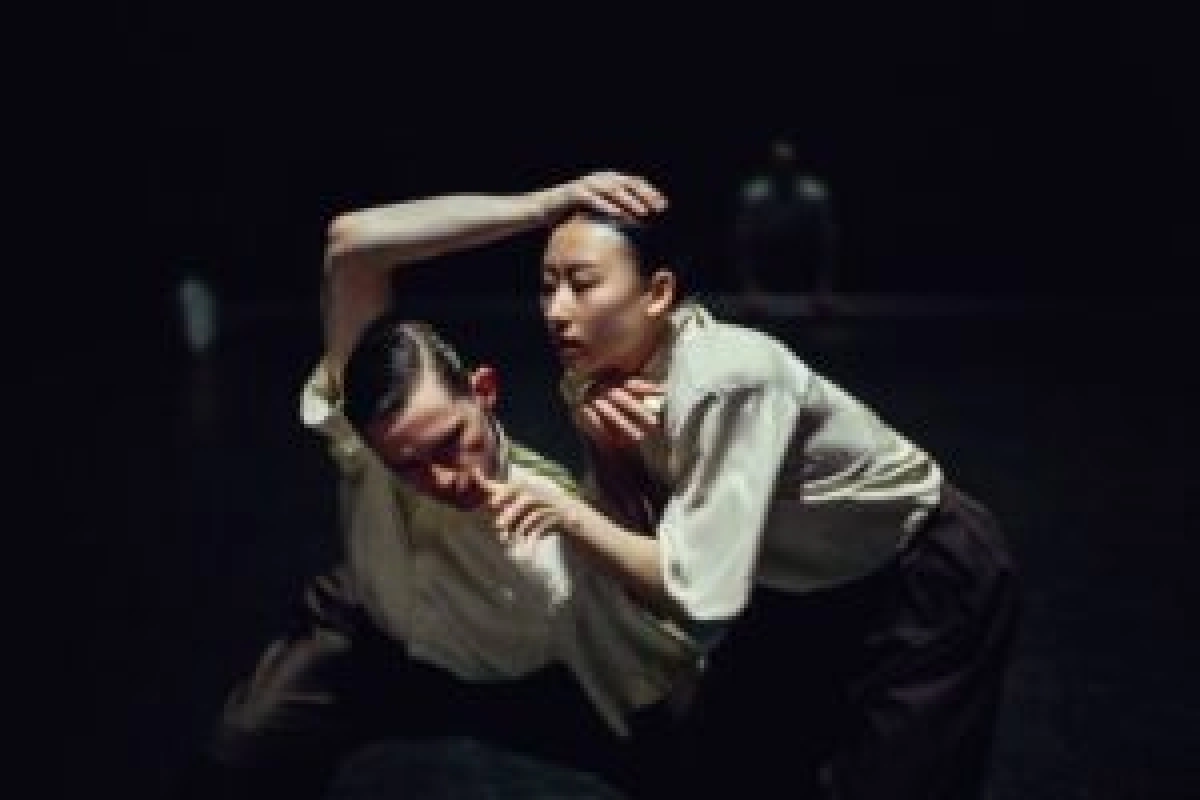 Nederlands Dans Theater 1